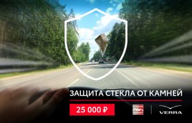 Защита лобового стекла